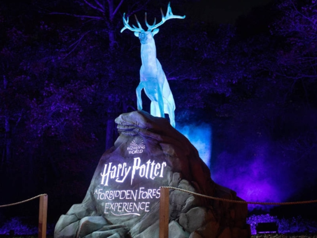 Harry Potter: A Forbidden Forest Experience light and interactive event is coming to The Briars at Mount Martha in April 2024. Picture: supplied