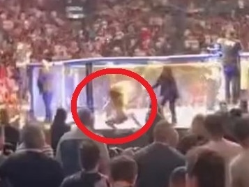 Girl invades UFC Octagon, instantly regrets it