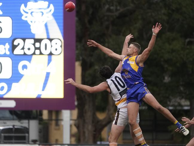 EFNL: Noble Park’s Jake Gains. Picture: Valeriu Campan