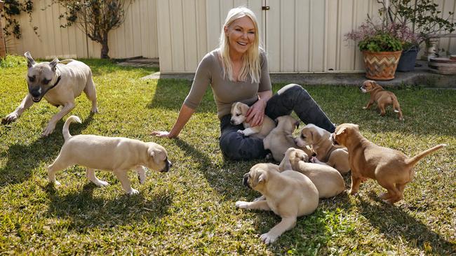 Dog rescuer Debra Moodie with a litter of rescue dogs. Picture: Sam Ruttyn