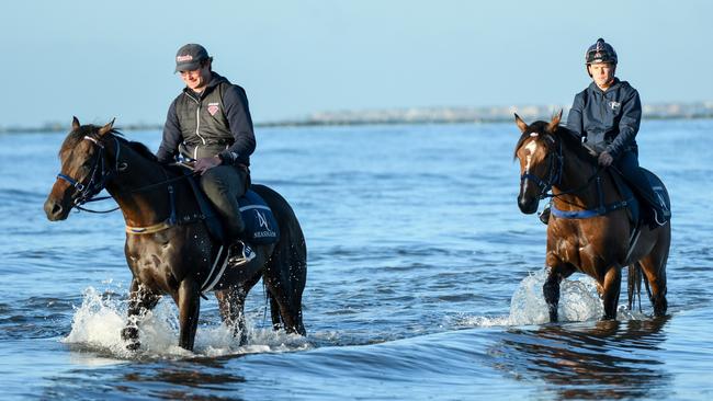 Zaaki (right) and the stablemate Mo'unga at Altona Beach earlier this week. Picture: Getty Images