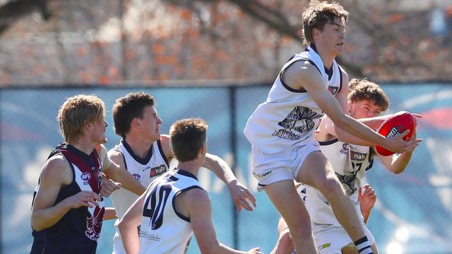 Cameron Fleeton marks for Geelong Falcons in the NAB League.