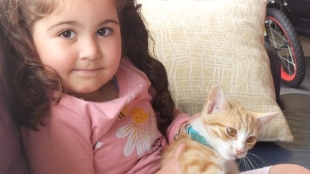 Anna Doumtsis' granddaughter Sasha with their cat Frankie.