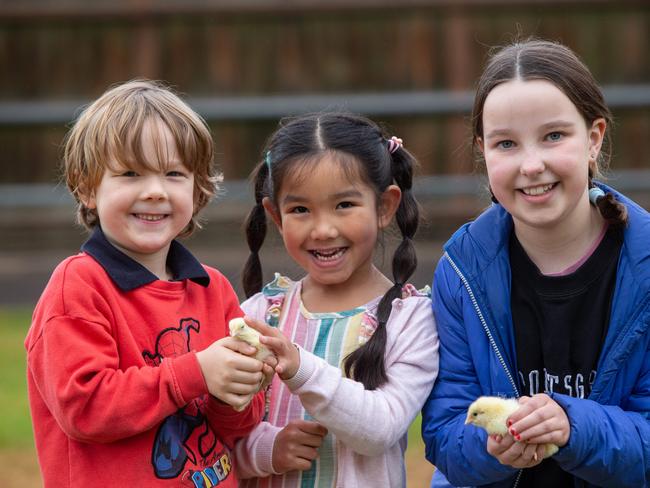 Show Tickets on Sale.L-R Hudson Shawyer (5) Mila Gunaksa (5) and Florence Fuller (10)1st August 2023. Picture: Brett Hartwig