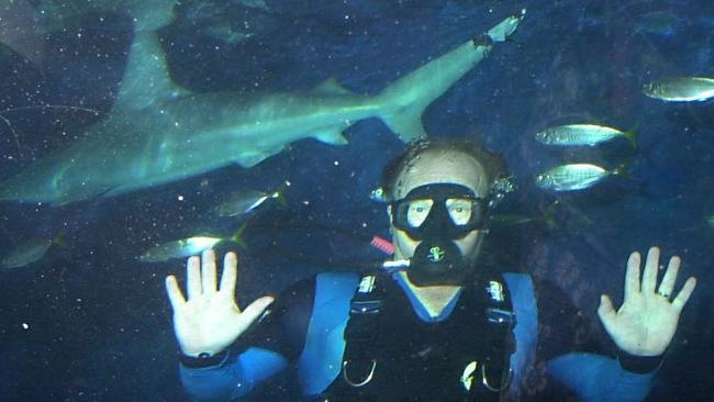 Queensland Premier Peter Beattie in a shark tank at Underwater World at Mooloolaba on the Sunshine Coast during the 2001 state election campaign. Picture: David Sproule.