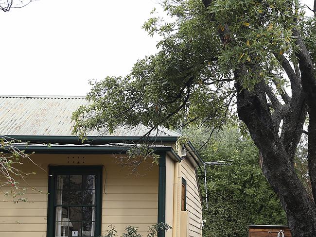 property in Battery Point where a tree overhangs next door