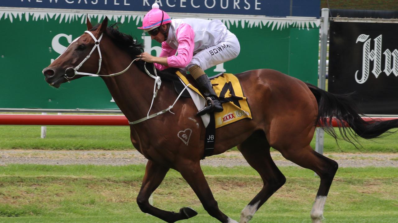 Tampering heads to Rosehill for the Midway Handicap. Picture: Grant Guy