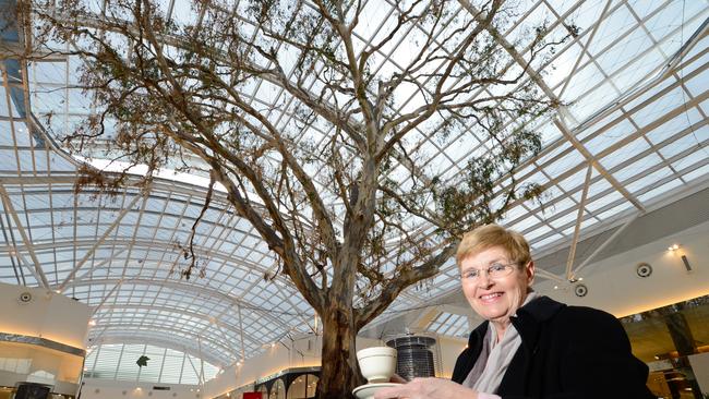 The tree less than a year later, with Burnside Village Shopping Centre owner Pat Cohen.