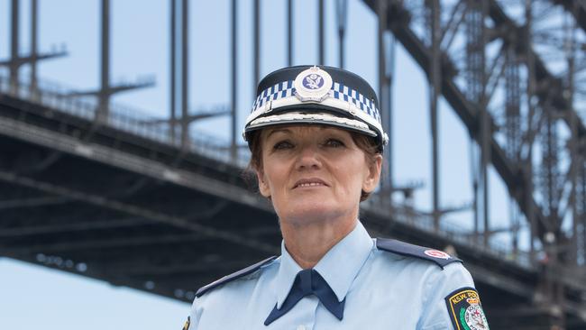 Assistant Commissioner Karen Webb. Picture: Julian Andrews