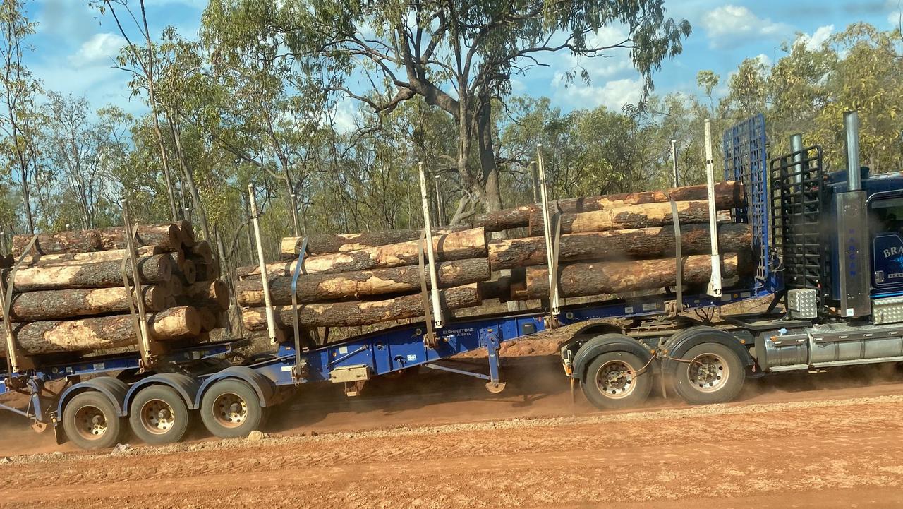 Cape York ironwood logging causes clan rift | Herald Sun