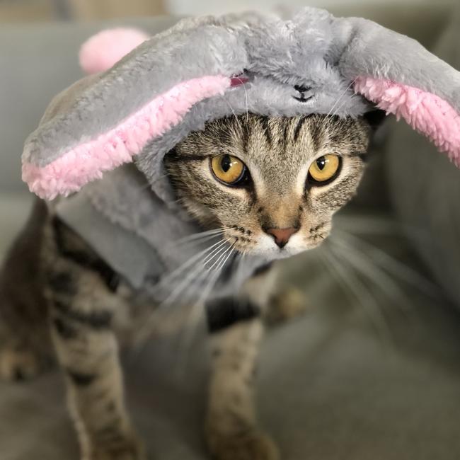 Maddi is not a big fan of Easter. Picture: Michael Costa