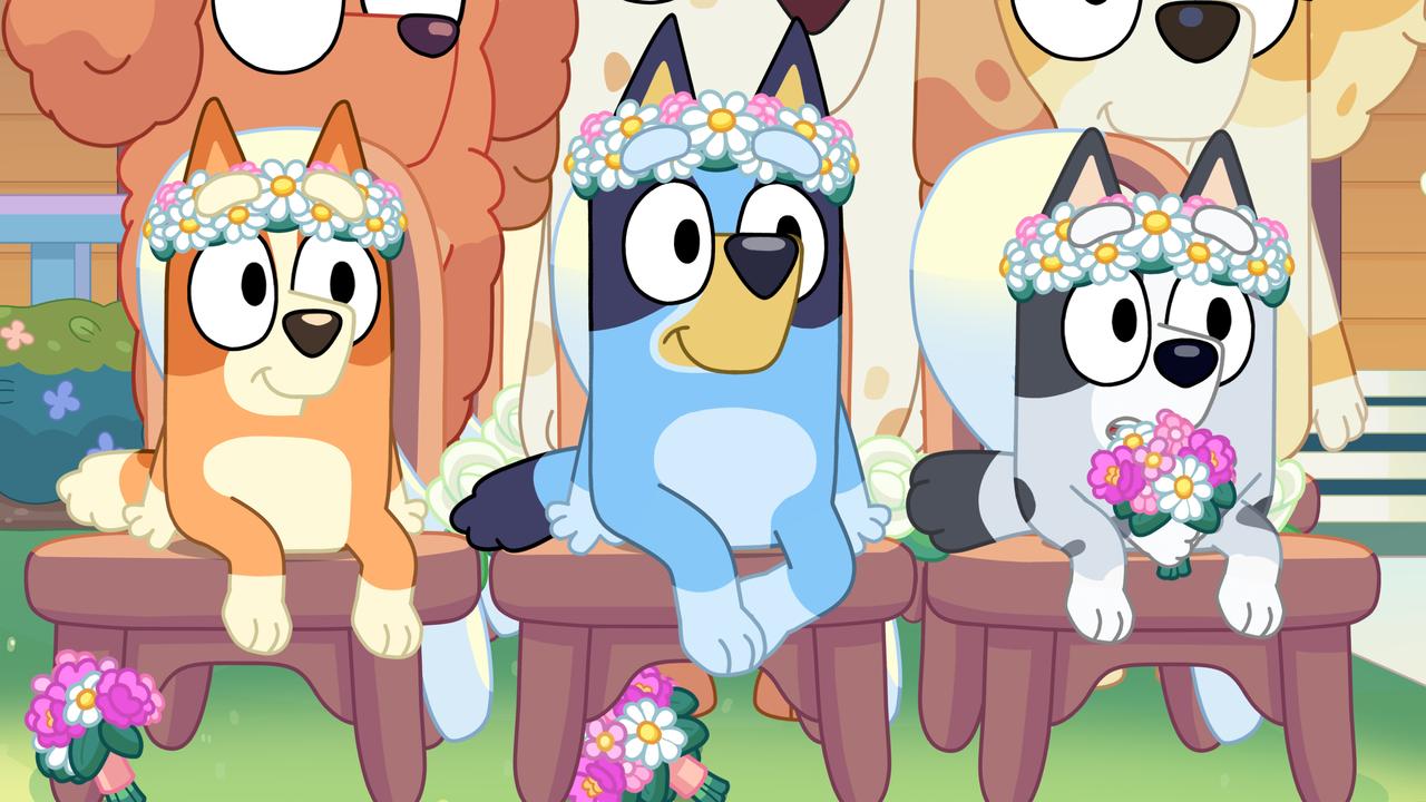 A scene from the special 28-minute episode of Bluey, The Sign. Bluey is the most watched show on streaming services in the United States this year.