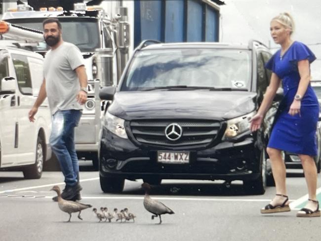 Kayhan Tabrizi and Ricki-Lee Crane usher the ducks across the busy road.