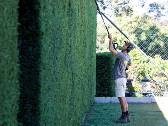 Who knew mowing the lawn would go viral?