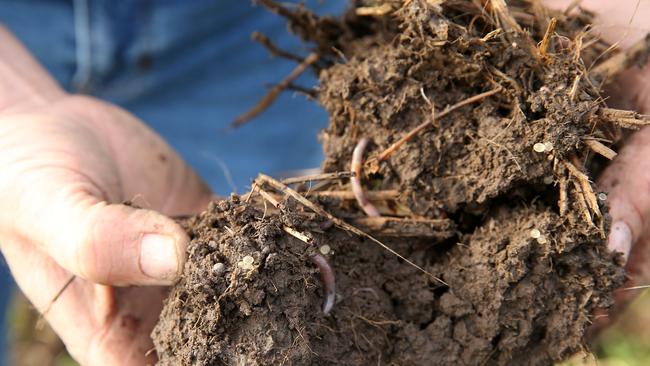 Loam Bio claims its seed treatment can help crop growers build between three and six tonnes of carbon per hectare per year in soils. Picture: ANDY ROGERS