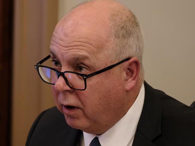 Tim Pallas has shrugged off concerns that Victoria’s credit rating is at risk of falling, saying the state still has ‘headroom’. Picture: Luis Enrique Ascui