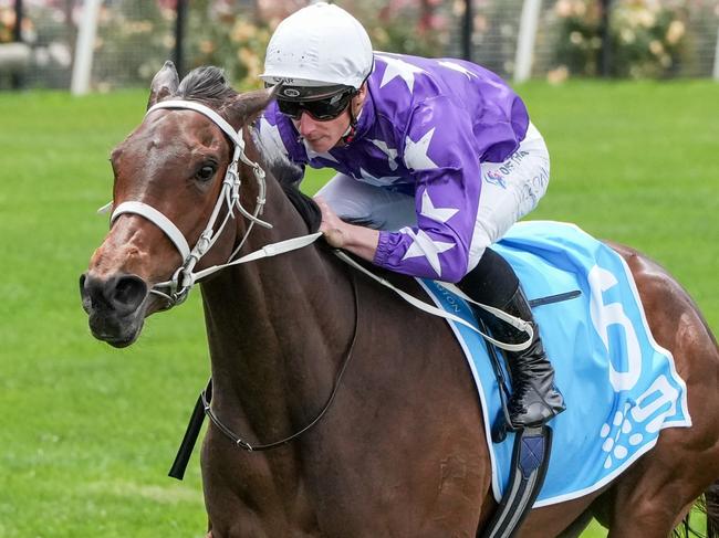 Aeliana (NZ) ridden by James McDonald wins the Channel 9 Carbine Club Stakes at Flemington Racecourse on November 02, 2024 in Flemington, Australia. (Photo by George Sal/Racing Photos via Getty Images)