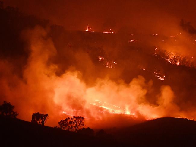 MOUNT ADRAH, AUSTRALIA - JANUARY 10: General view of the Dunn Road fire on January 10, 2020 in Mount Adrah, Australia. NSW is bracing for severe fire conditions, with high temperatures and strong winds forecast across the state. There are about 135 fires burning in NSW, 50 of which are uncontained. 20 people have died in the bushfires across Australia in recent weeks, including three volunteer firefighters. About 1995 homes have been destroyed and another 816 have been damaged across NSW. (Photo by Sam Mooy/Getty Images)