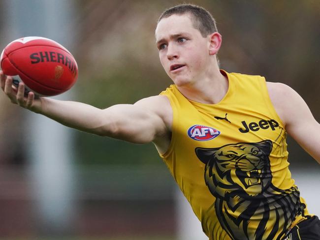 Riley Collier-Dawkins of the Tigers marks the ball during a Richmond Tigers AFL training session at Swinburne Centre in Melbourne, Thursday, May 21, 2020. (AAP Image/Michael Dodge) NO ARCHIVING