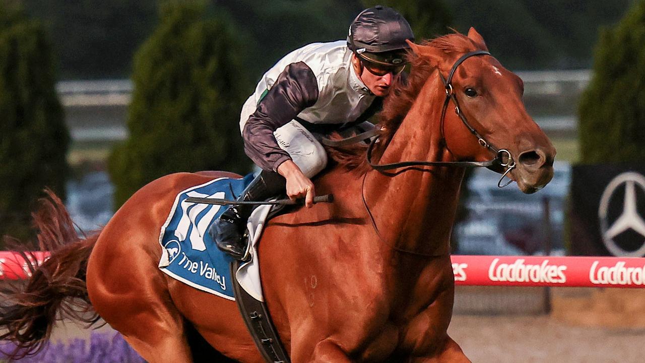 Rise At Dawn could give Lindsay Park its first Stradbroke Handicap win in Brisbane next month. Picture: Racing Photos