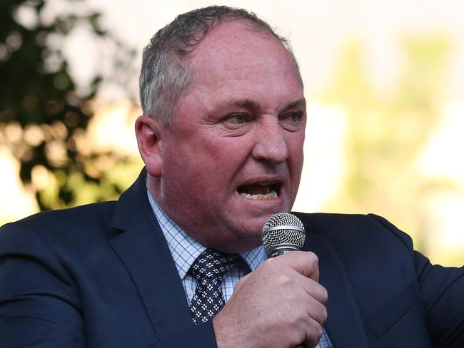 A large Anti-Abortion rally has been organised in Hyde Park today drawing a crowd in the thousands. Pictured is Barnaby Joyce speaking. Picture: David Swift.