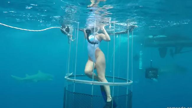 A diver claims a video of cam girl Molly Cavalli being attacked by a shark is fake. Picture: CamSoda