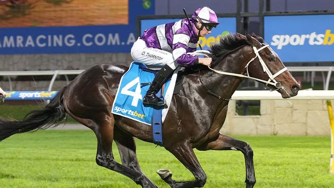 Lindermann ridden by Damien Thornton wins the Jack takes on Sam 2YO Maiden Plate at Sportsbet Pakenham on May 19, 2022 in Pakenham, Australia. (Scott Barbour/Racing Photos via Getty Images)