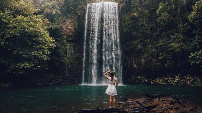 Millaa Millaa Falls, QLD.