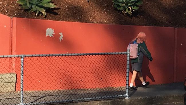 A student, with pink instead of natural coloured-hair, attends 'day of dissent' day at Kenmore High State School as part of a planned protest against changes to the uniform policy. Pic: Darren Cartwright