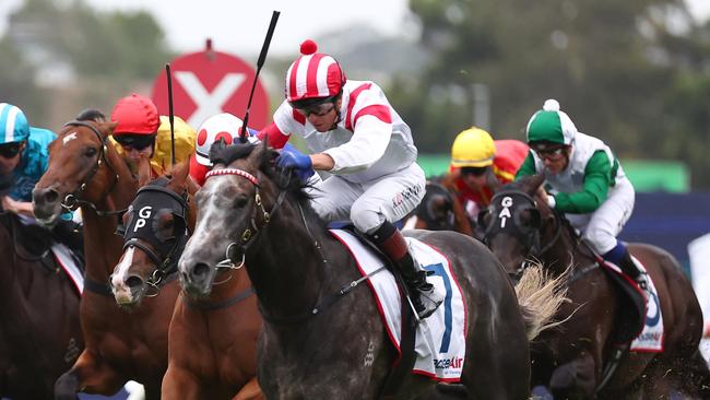 Celestial Legend is one of the leading chances in the Randwick Guineas. Picture: Jeremy Ng/Getty Images