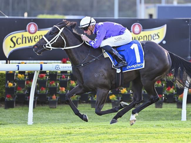 Vanessi can make it back-to-back wins when she heads to Randwick. Picture: Bradley Photos