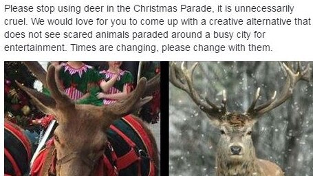 A posts on the Brisbane City Council Facebook page last year about the use of deer as reindeer in the Christmas events. Photo. Facebook.