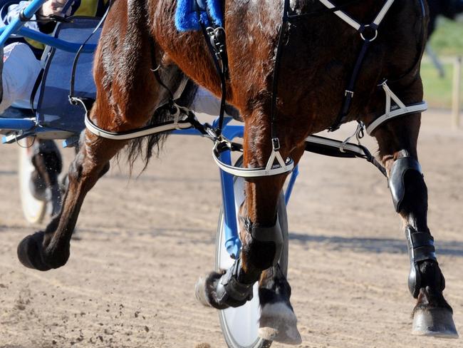 Trotting. Champion pacer Smoken Up has his final run at Globe Derby Globe Derby, warming up on the track driven by Lance Justice.