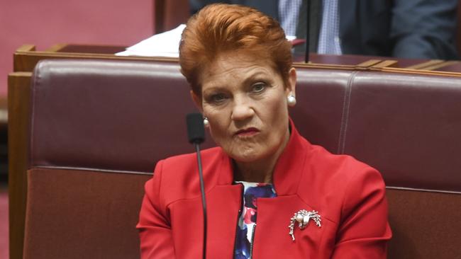 One Nation leader Pauline Hanson whose party has forced a Newspoll rethink.