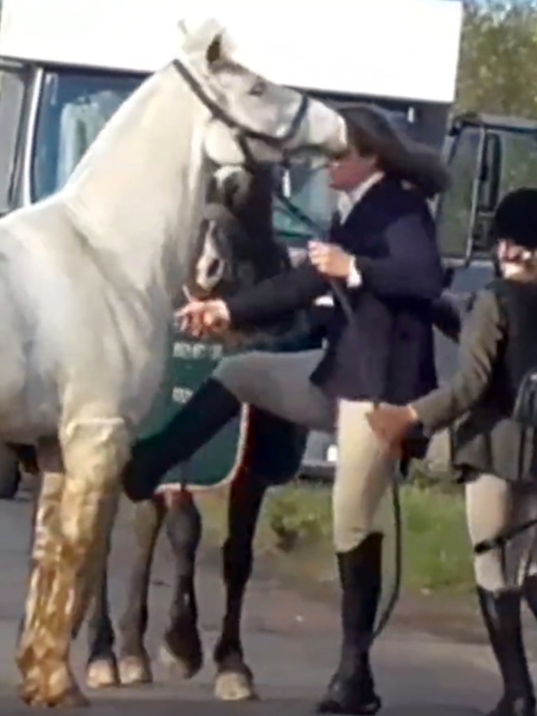 And kicking the horse. Picture: Herfordshire Hunt Saboteurs