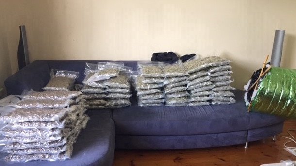 Six men have been charged with drug trafficking after the South Australia National Anti-Gangs Squad found more than 320 kilograms of dried cannabis and $50,000 cash at a suburban Adelaide property on Wednesday. Picture: AFP