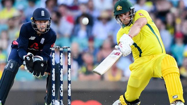 Aaron Finch is expected to make the transition from ODI cricket to the Test arena.