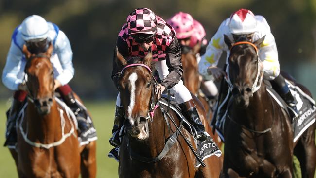 Rothfire will be hard to beat in the Golden Rose. Picture: Getty Images