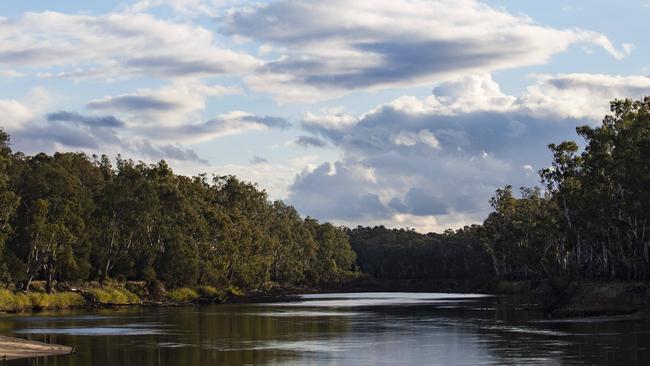 The Murray River in Tocumwal, NSW. Picture: Hollie Adams.