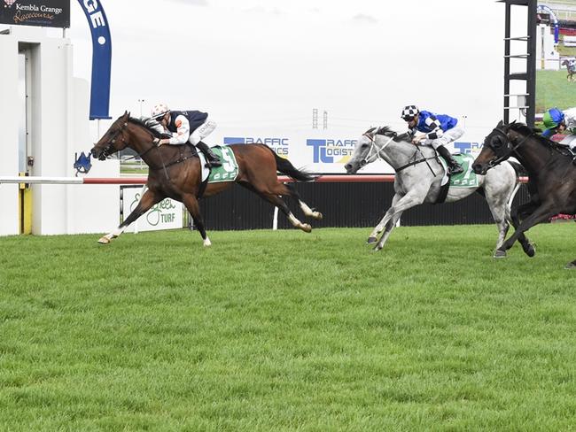 Danaustar wins at Kembla Grange in November last year. Mitch Cohen thinks he's got a terrific chance at a nice each-way price in Race 9 at Rosehill on Saturday. Picture: Bradley Photos