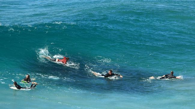 Baitfish schooling under boardriders at Duranbah Beach last week. Picture: Scott Powick