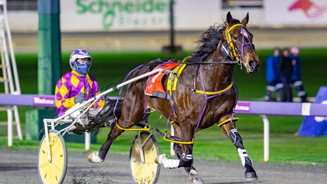 Never Ending, pictured here at Gloucester Park, solidified his TAB Eureka favouritism with a slashing second at Menangle on Saturday night