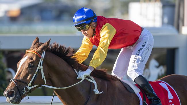 Jockey Ryan Wiggins rides Inquiry to victory in race 7, the Mittys Spear Chief Handicap, during Doomben Race Day at Doomben Racecourse in Brisbane, Saturday, June 27, 2020. (AAP Image/Supplied by Michael McInally, Racing Queensland) NO ARCHIVING, EDITORIAL USE ONLY