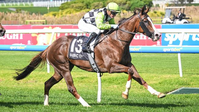 Awapuni Princess will be fitter for her first-up win at good odds when she heads to Flemington on Saturday. Picture: Racing Photos