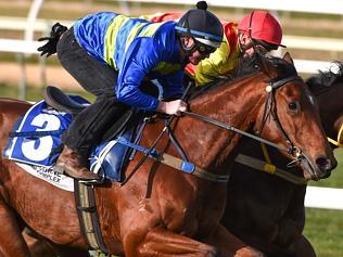 Cranbourne Barrier Trials
