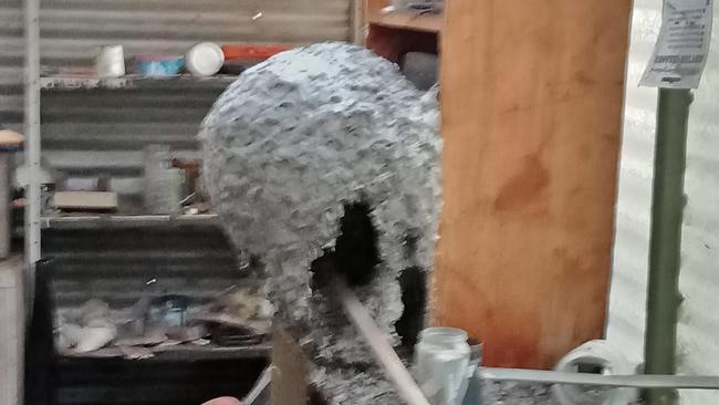 Man finds huge grey mass in his mother's shed. Picture: Facebook