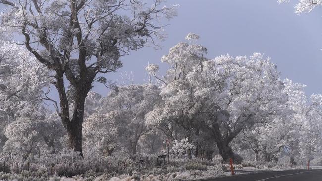 Stunning images of a wintry Central Highlands. Image: Gill Dayton/ Tassie Apple Spice photography.