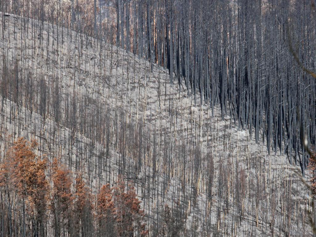 The report warns increased temperatures and risk of bushfires will impact poorly on air quality.