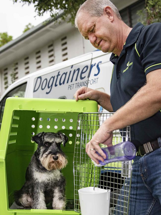 Archie the mini Schnauzer in a dogtainer with his owner Darren Alcorn. Picture: Brian Cassey