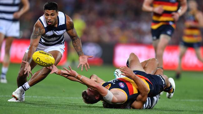 Geelong’s Tim Kelly swoops on the ball during the Round 3 victory over the Crows at Adelaide Oval. Picture: David Mariuz/AAP